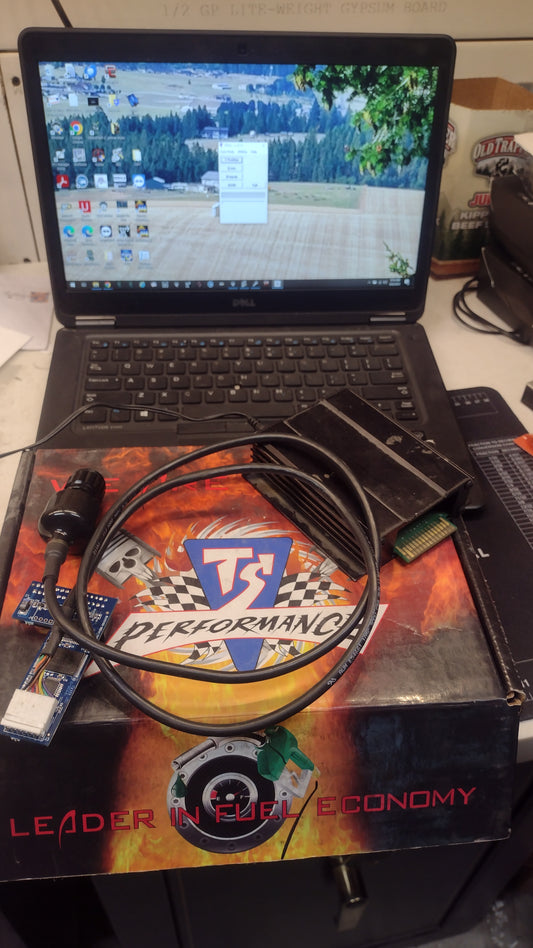 TS Chip/ Revolver Reburn